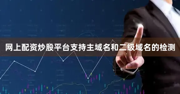 网上配资炒股平台支持主域名和二级域名的检测